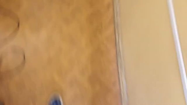 BenderVLOG. Фаберже. Учебные будни? смотреть онлайн
