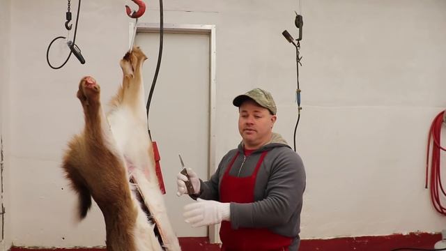 BUTCHERS ADVICE WILL CHANGE HOW YOU FIELD DRESS A DEER FOREVER смотреть онлайн