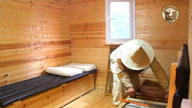 Что я получил от сна на пчелах за три месяца Пересаживаю из лежака пчел в ульи на зиму смотреть онлайн