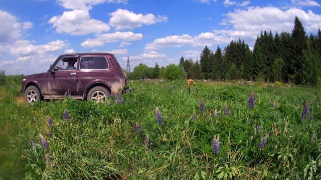 МЕТАЛЛОКОП!!! МЕДНЫЙ КАБЕЛЬ НЕ ДАЛ СЪЕЗДИТЬ В МИНУС))) смотреть онлайн