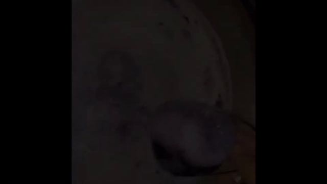 Witches Brew Bath Bomb смотреть онлайн
