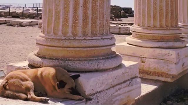 Храм Аполлона . Сказки от Милы смотреть онлайн