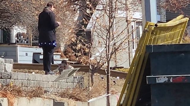 Рабочий день в Канаде - Строим Дом! смотреть онлайн