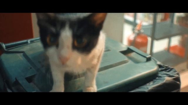 bali indonesia photographer video photo Wedding nusa dua ubud canggu смотреть онлайн