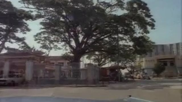 Шокирующая Азия часть 2 смотреть онлайн