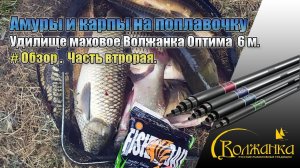 Карпы и амуры на маховую удочку Волжанка Оптима б/к 6.0м (6 секций) тест до 25гр