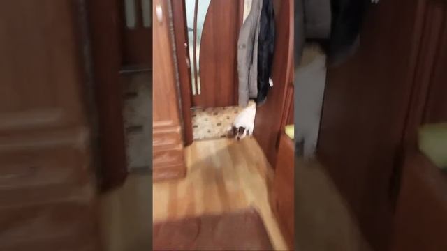 Добрый Вечер Любимые смотреть онлайн