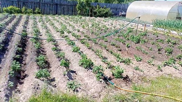 Поливалка улитка на стойке. смотреть онлайн