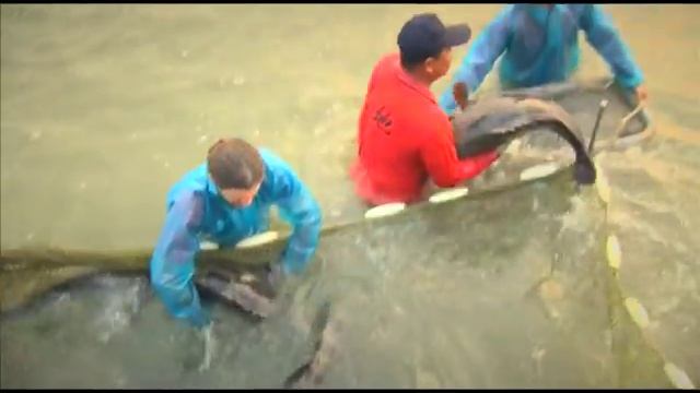 Тайвань. На юге Тайваня. Андрей Понкратов