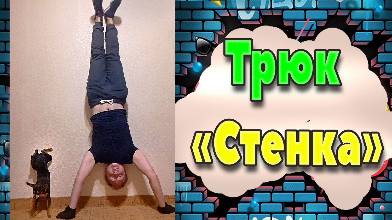 Как научить собаку команде "стена" или как научить собаку стоять на передних лапах смотреть онлайн