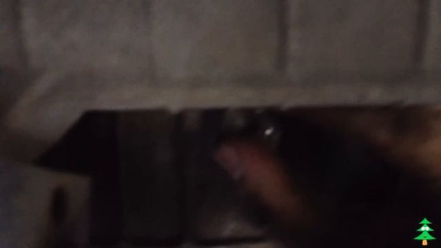 Замена масла Suzuki Grand Vitara смотреть онлайн