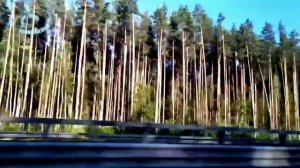 Прости прощай