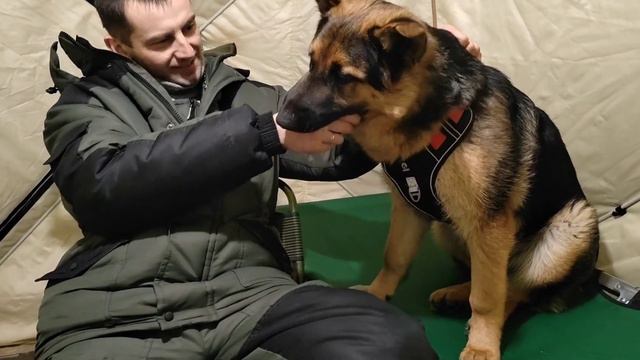 рыбалки мало, собаки много... смотреть онлайн