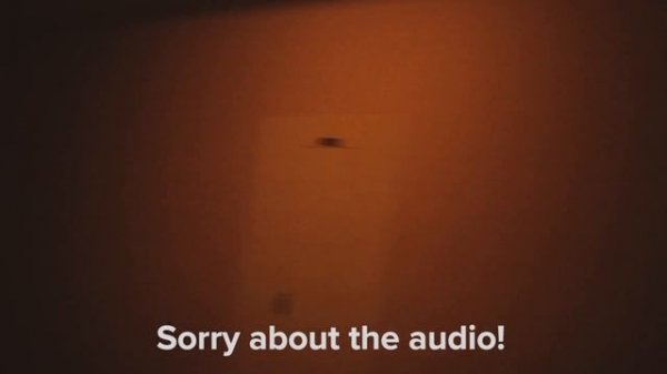 Turtle Bay Resort Tour // travel vlog