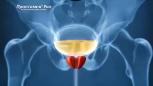 Простамол_"Что делать?"