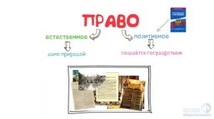 Современные подходы к пониманию права ? Школа обществознания 10 класс