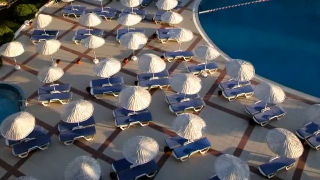 рекламный ролик компании "Поехали с Нами" смотреть онлайн