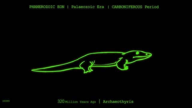 Human Evolution in a Minute смотреть онлайн