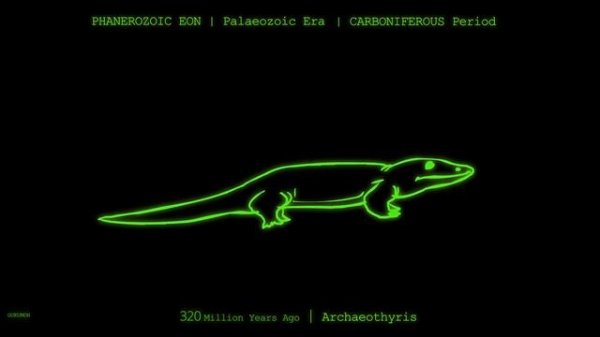 Human Evolution in a Minute