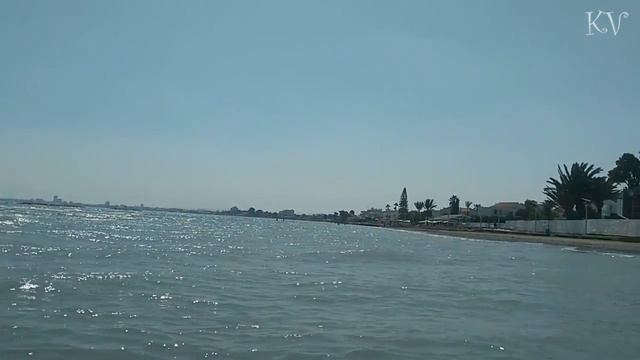 VLOG ♥ Пляж Palm Beach Кипр ♥ Купаемся в море ♥ Пальмы ♥ Гостиница ♥ Гибискус смотреть онлайн