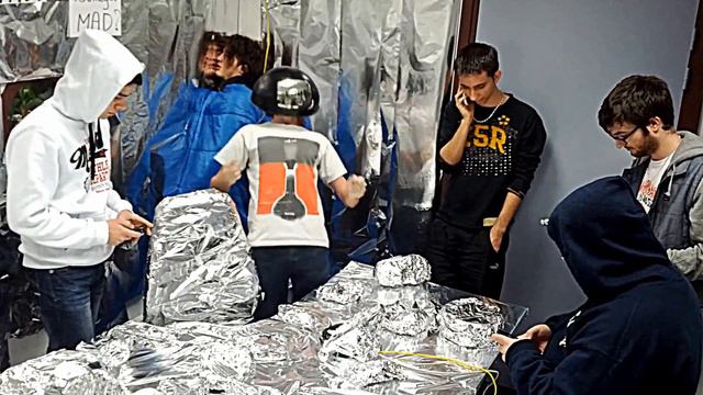 Harlem Shake - Thot Project 2013 - team anal смотреть онлайн