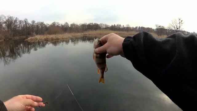 Рыбалка, река Рось. смотреть онлайн