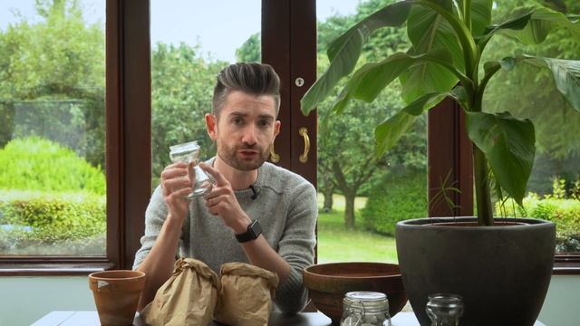 How To Grow Hyacinths | Everything You Need To Know! | Guide To Growing Indoor Hyacinth Bulbs!