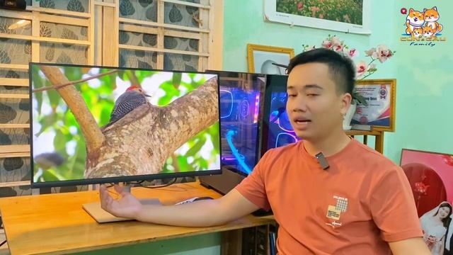 Review Dell P2723D - Màn Hình Đồ Hoạ Đáng Chọn Nhất Tầm Giá 6 Triệu | Gia Đình Cún & Gấu смотреть онлайн