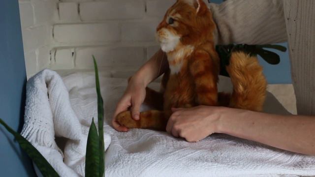 Кот Тедди на скелете. Игрушка, которая может сгибать лапы, тело, хвост и ушки . смотреть онлайн