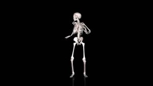 футаж танцующего скелета //dancing skeleton footage //