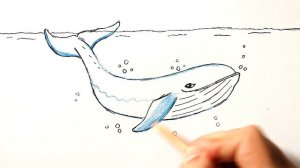 Как нарисовать Кита