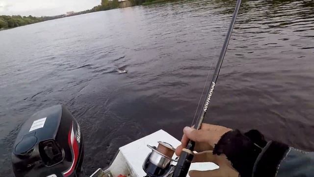 Ловля ЖЕРЕХА на Спиннинг ОСЕНЬЮ. КЛЮЁТ круче чем ВЕСНОЙ!!! смотреть онлайн
