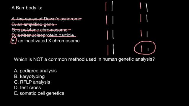 Common methods used in human genetics analysis смотреть онлайн