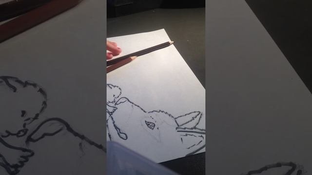 Как нарисовать котёночка и собаку смотреть онлайн