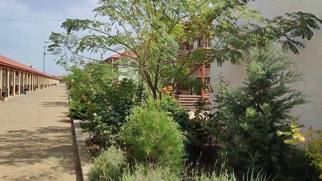 Родная гавань. Прибрежное. 2022 смотреть онлайн