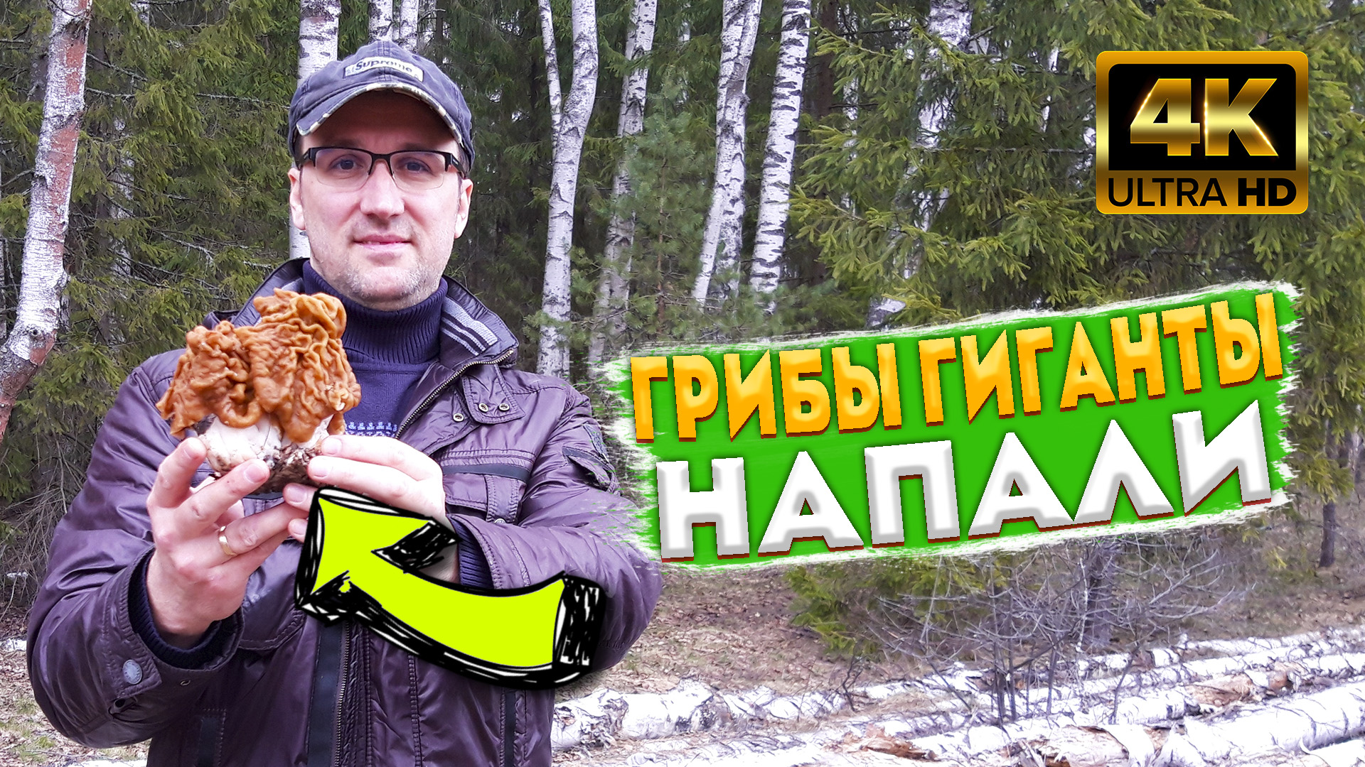 ? Гигантские строчки напали на грибников ? С каждым весенним днем, грибов становится все больше ? смотреть онлайн