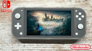 Hogwarts Legacy Nintendo Switch Lite Gameplay