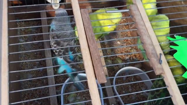 2# Liège Belgium Guillemins прогулка по Льеж рынок