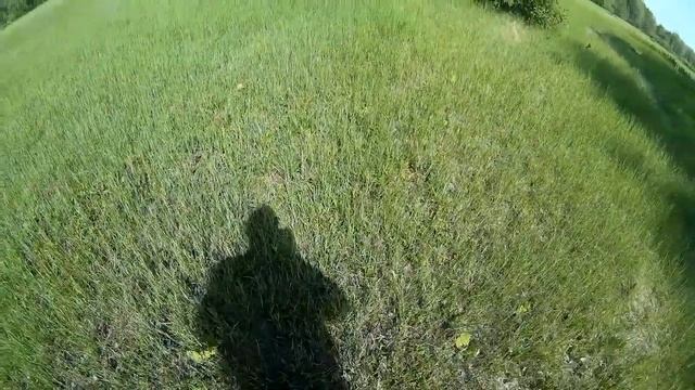 Второй год фрезерованного сенокоса. Что и как растёт в этом сезоне? смотреть онлайн