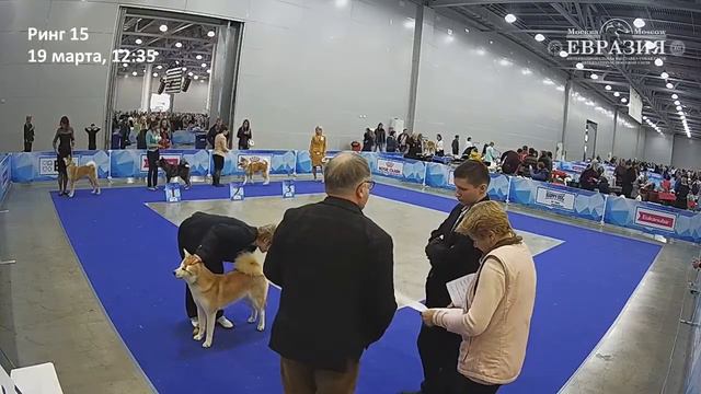 Евразия 2017 (день 3, ринг 15)