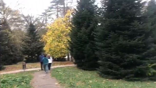 Влог, Горячий ключ подарок от родителей ко дню рождения ❤️? смотреть онлайн