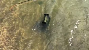 Морская рыбалка с берега на Сахалине