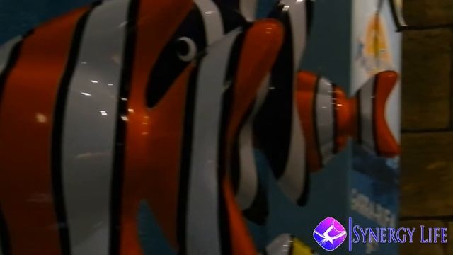 DISCO ALOHA SYNERGY DANCE! смотреть онлайн