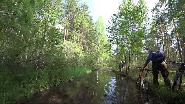 Съеденные заживо.mp4 смотреть онлайн