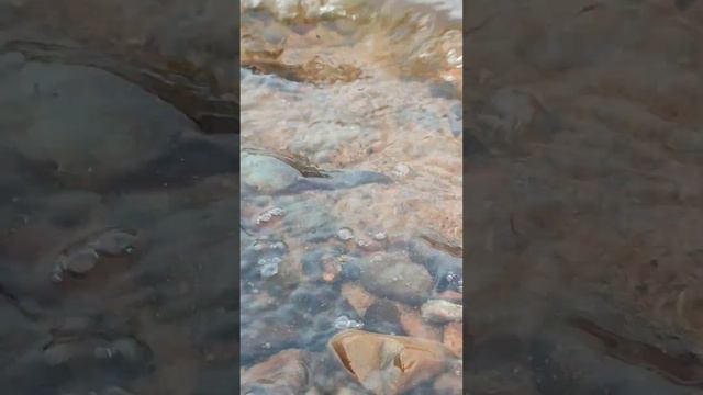 26.05.2023 Вечер Сборник Волна берег река Амур смотреть онлайн