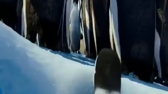 ты кто такой? давай до свидания! смотреть онлайн
