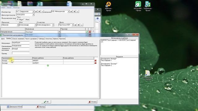 ProtokolAuto. Настройка. Метасимволы. смотреть онлайн