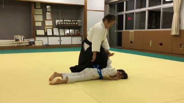 合気道清和塾　2018年11月30日　審査前最終稽古　子供の部 смотреть онлайн