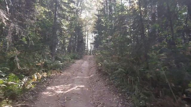 Шерегеш. Поиск интересных мест. Сарлыки #Квадрокоптер #СВысотыПтичьегоПолета смотреть онлайн