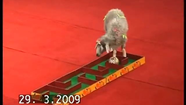 Рязань - работа смотреть онлайн